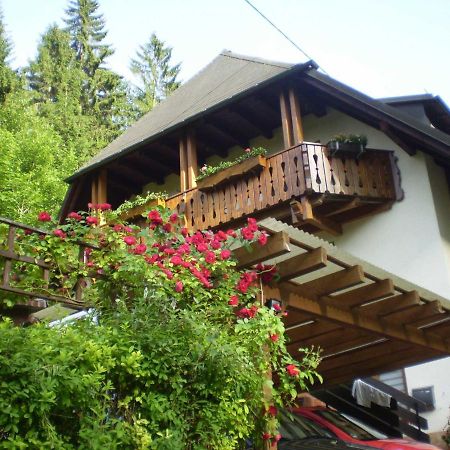 Haus Am Bach Lägenhet Freiburg im Breisgau Exteriör bild